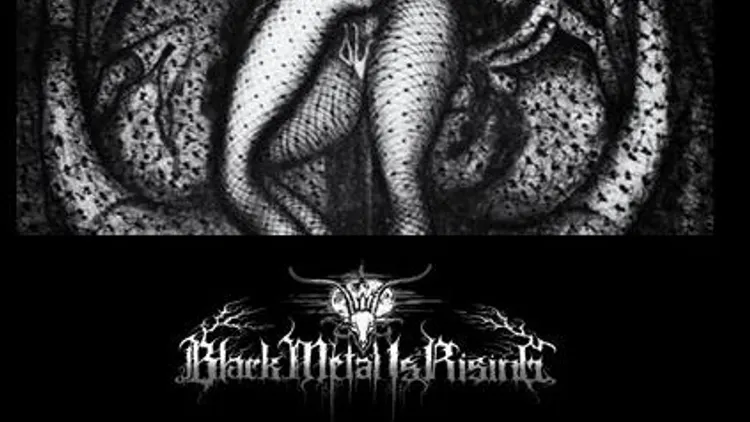 Black Metal Is Rising