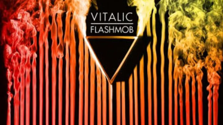 Vitalic En Concert