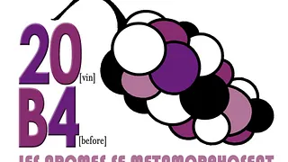 20B4 [Vin Before]