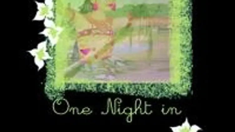One Night In Bali