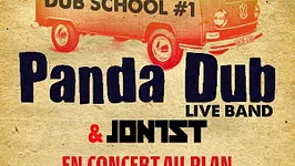 Panda Dub en concert