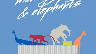 Monkeys and Elephants