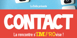 Contact, Le spectacle