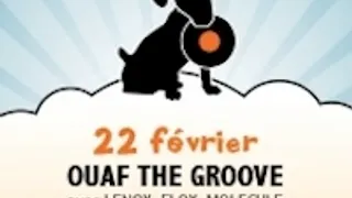OUAF THE GROOVE AVEC FLOX + LENOX + MOLECULE