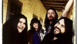 The Magic Numbers en concert