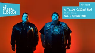 A TRIBE CALLED RED