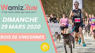 Wamiz Run 2020