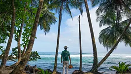 Exposition « Palm » de Matt Henry