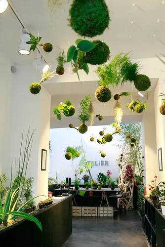 Ikebanart Shop Paris
