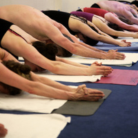 Yoga Bikram - Marais