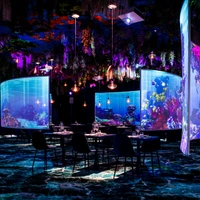 Under the sea