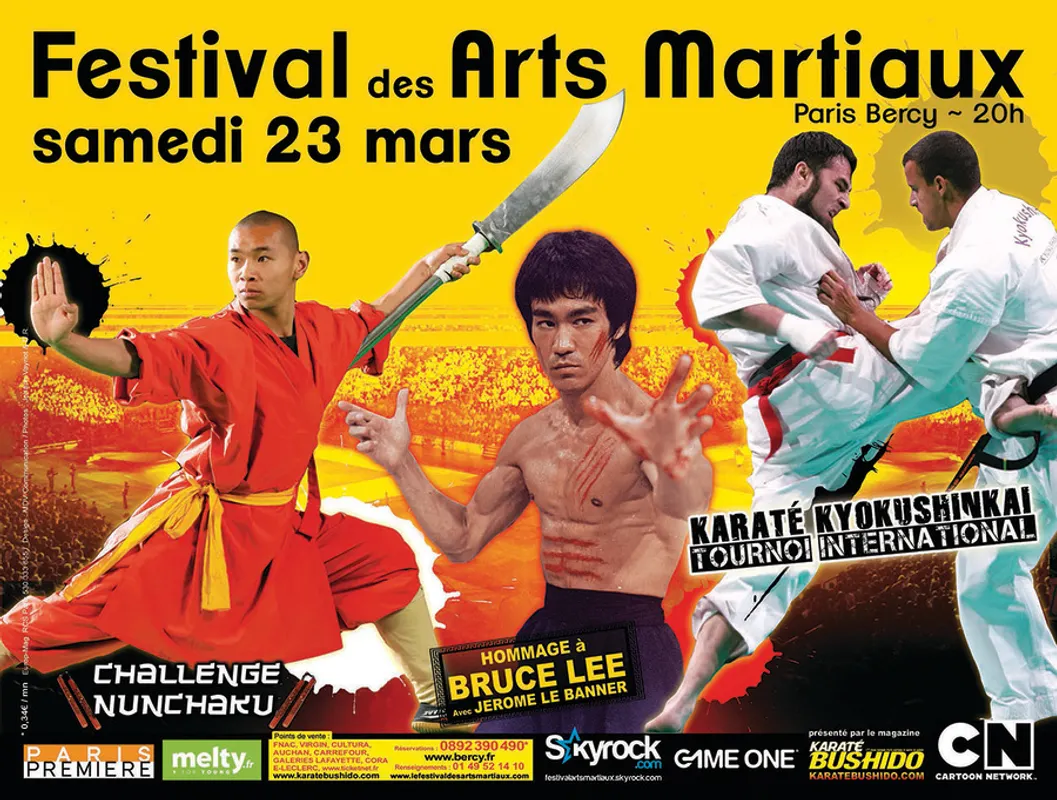 その他 28eme festival des arts martiaux - Bercy 2013 28?me festival des arts martiaux - Bercy 2013