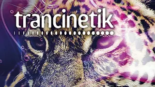 TRANCINETIK