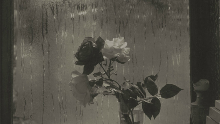 Josef Sudek Le monde à ma fenêtre