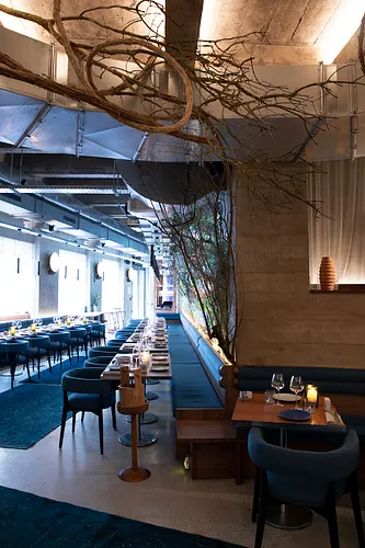 Forest Restaurant Paris