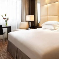 L'Hôtel Hyatt Regency Paris Etoile