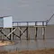 Dominique A