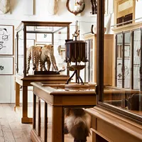 Musée de la Chasse et de la Nature