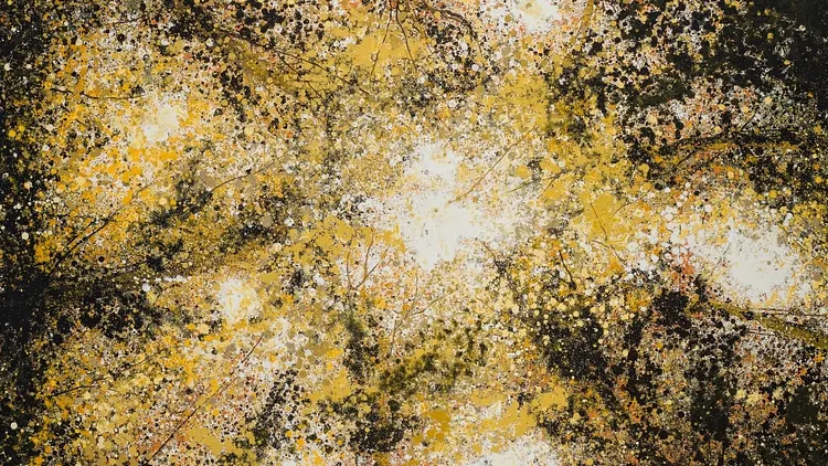 EXPOSITION PERSONNELLE PIERRE-LUC POUJOL