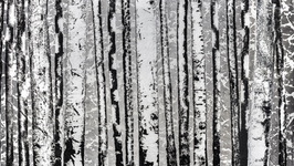 Exposition Pierre-Luc Poujol