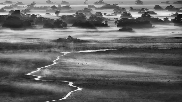 Expostion Magnum Opus - Sebastião Salgado
