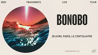 Bonobo live