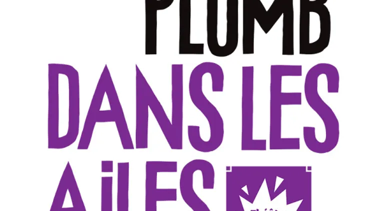 DU PLOMB DANS LES AILES