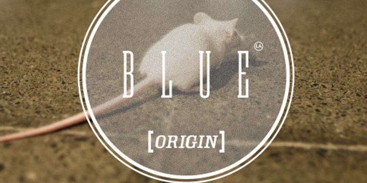 La blue origin