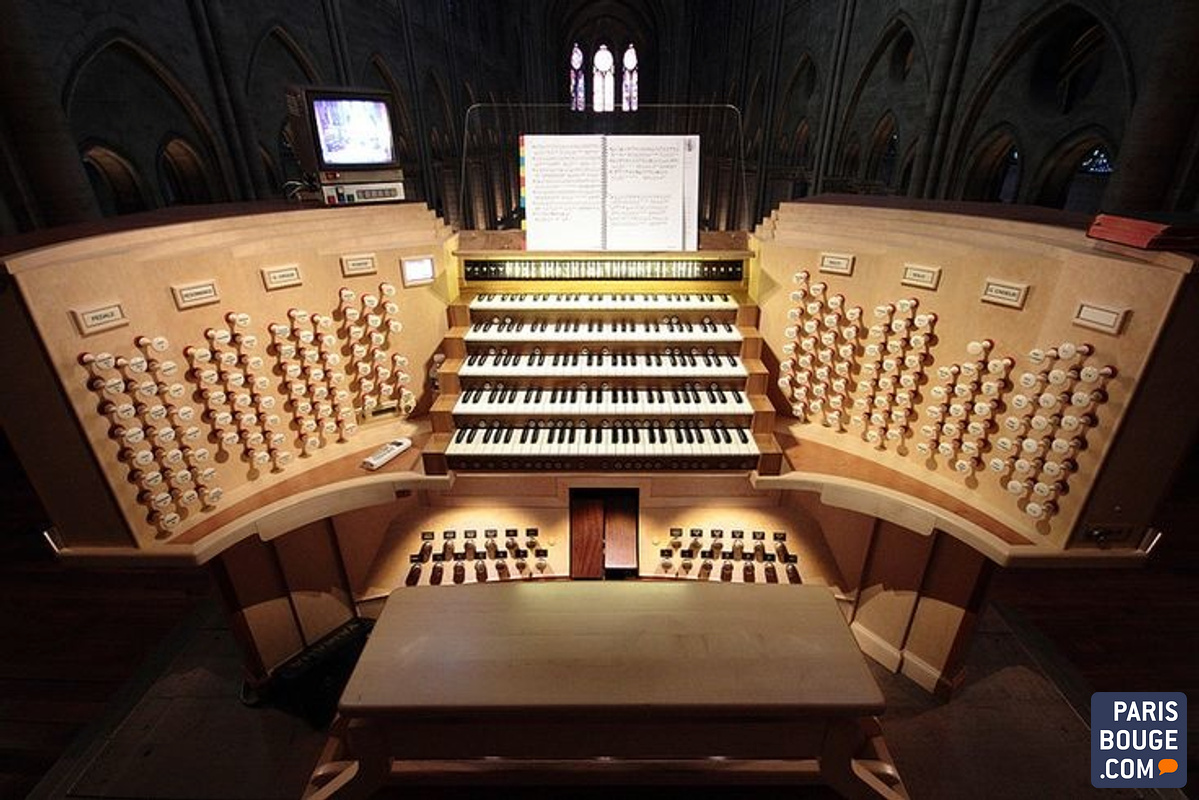 Audition à NotreDame de Paris Basilique NotreDame de paris