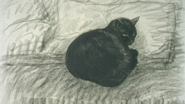 Accro-chat-ge