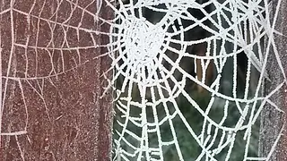 Arachné, la tisseuse rebelle