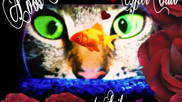 A vos poissons