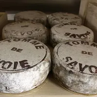 Maison de Savoie