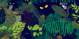 Jungle by night + The Afrorockerz / black summer festival 2015