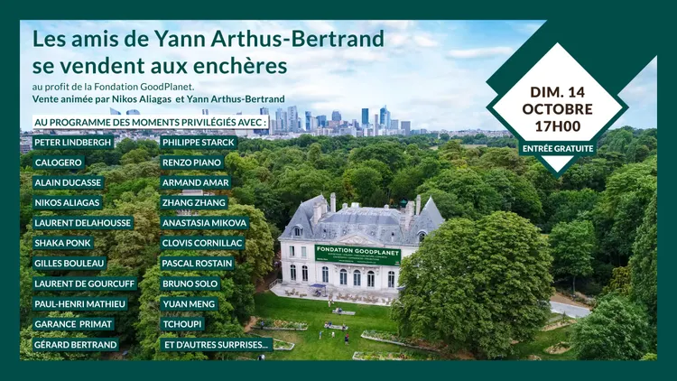 Les amis de Yann Arthus-Bertrand se vendent aux enchères