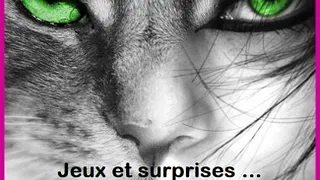 Afterwork Cat's eyes is back !