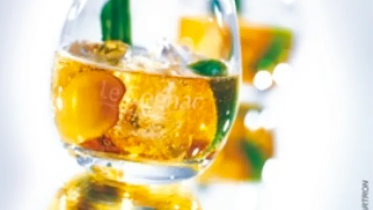 Cognac Experience