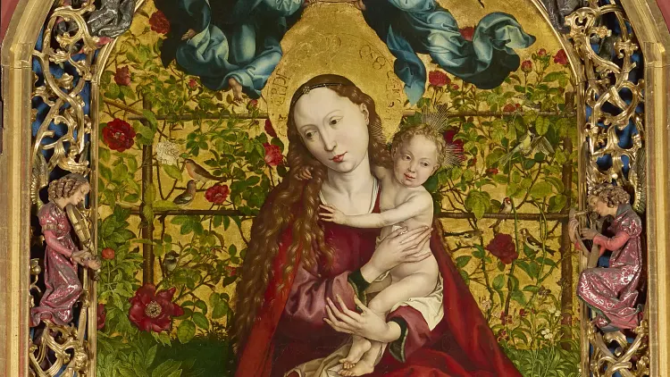 Martin Shongauer - Le bel immortel