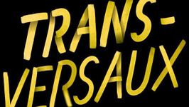 Nuit Blanche 2013 - Transversaux