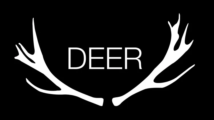 DEER en concert
