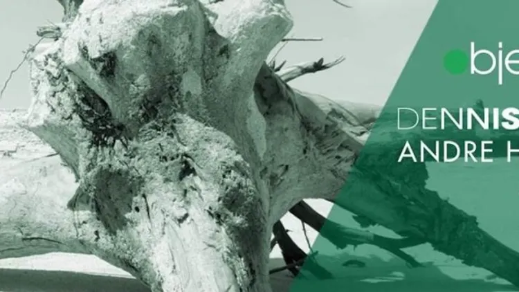 Objektivity : Dennis Ferrer, Andre Hommen & Amnaye