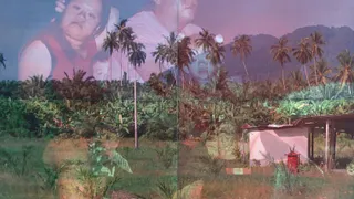 The Plantation Plot