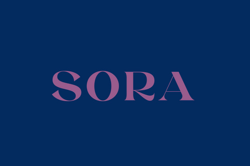 Sora Restaurant Paris