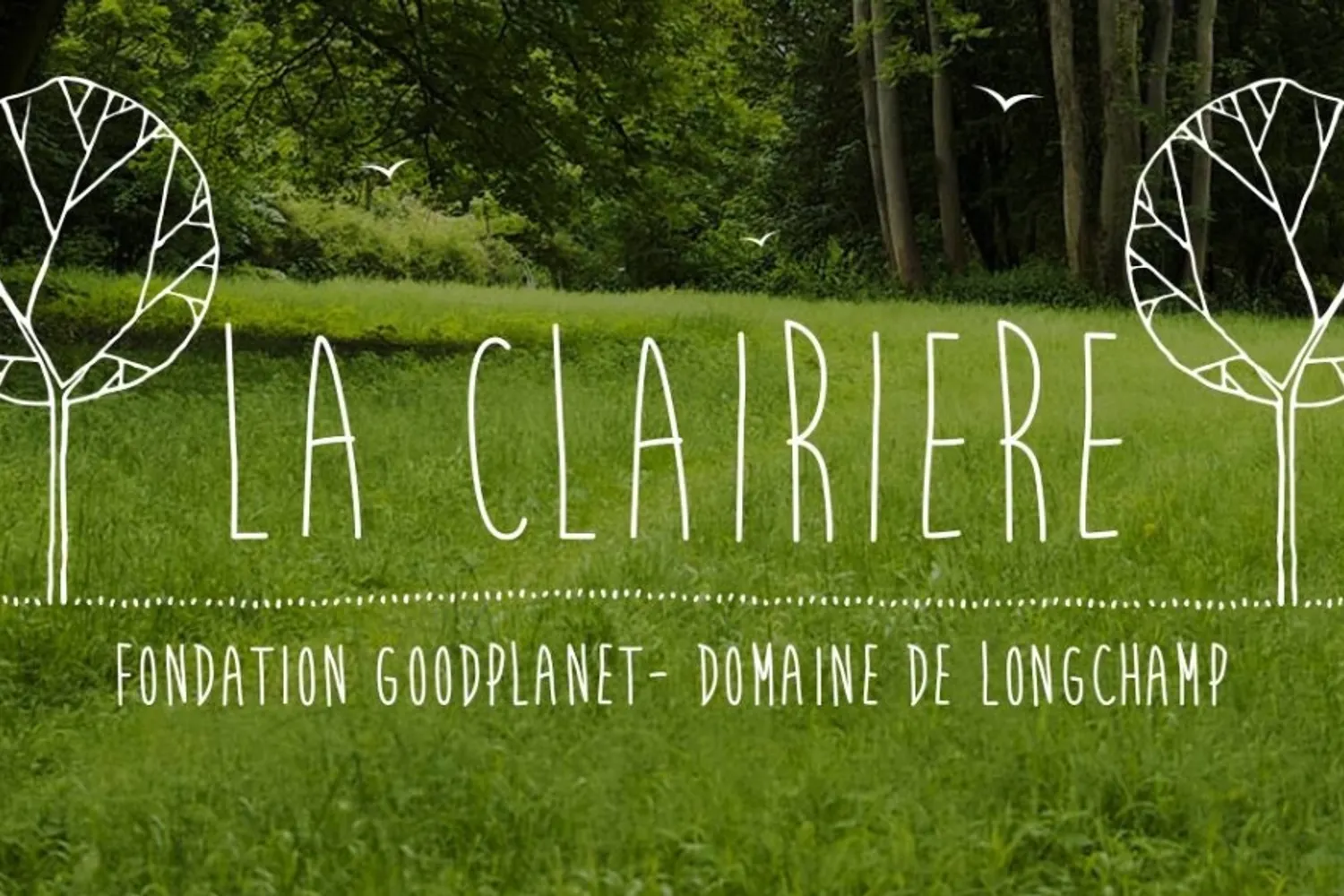 La Clairière
