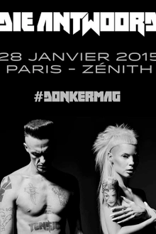 Die Antwoord en concert
