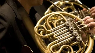 Orchestre l'Amoureux