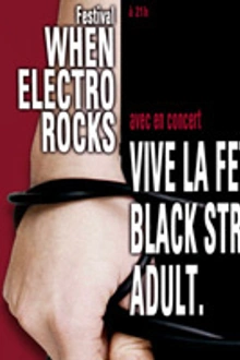 Blackstrobe, Vive la fête et Adult