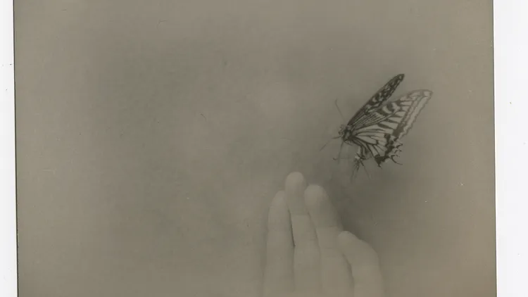 MIHO KAJIOKA DO YOU OPEN YOUR EYES IN THE SEA?