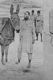Mission Dakar-Djibouti [1931-1933] : Contre-enquêtes