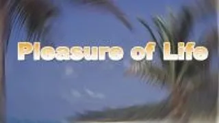 Pleasure Of Life